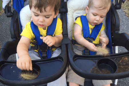 Exploring Nature Stroller Toddler Activity