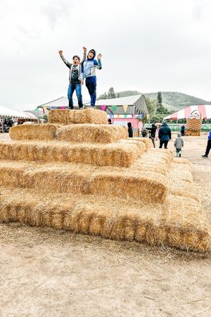 boys on top of hay pyramid